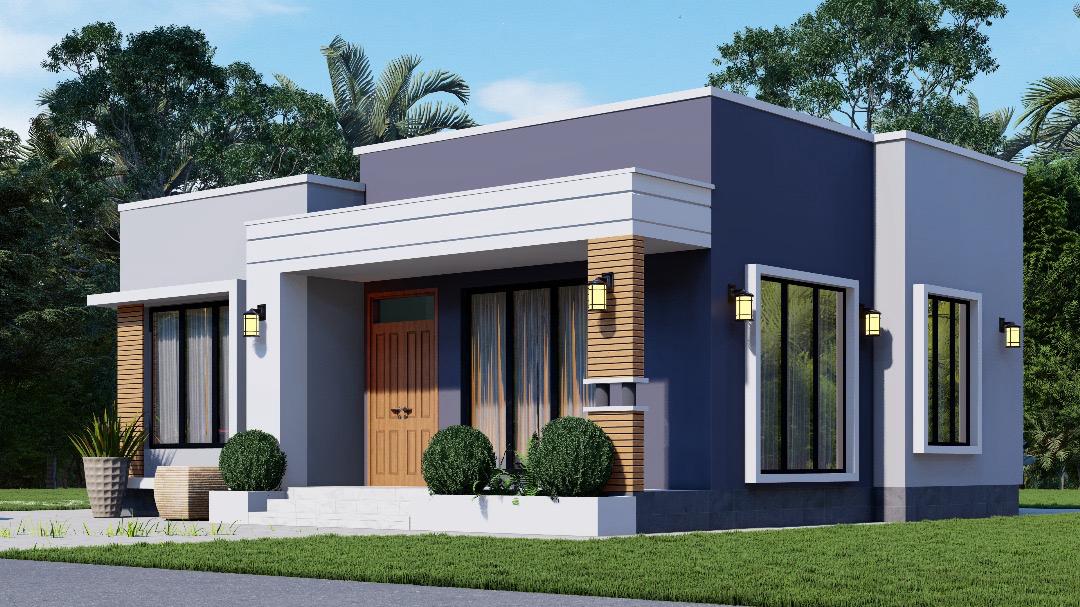 Contemporary Projects 14